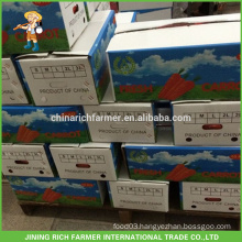 2016 Fresh Vegetable Carton Packing For Fresh Carrot Prices